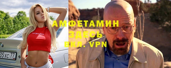 ГАЛЛЮЦИНОГЕННЫЕ ГРИБЫ Ельня
