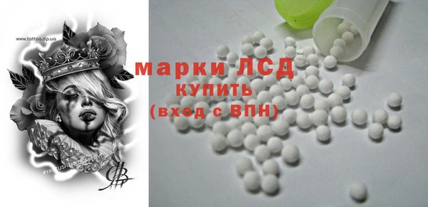 ГАЛЛЮЦИНОГЕННЫЕ ГРИБЫ Ельня