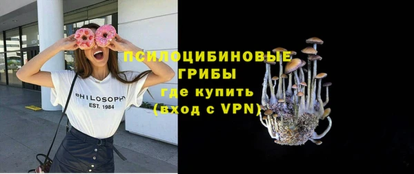 ГАЛЛЮЦИНОГЕННЫЕ ГРИБЫ Ельня