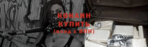 ГАЛЛЮЦИНОГЕННЫЕ ГРИБЫ Ельня