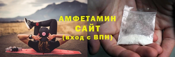 ГАЛЛЮЦИНОГЕННЫЕ ГРИБЫ Ельня