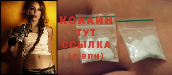 ГАЛЛЮЦИНОГЕННЫЕ ГРИБЫ Ельня