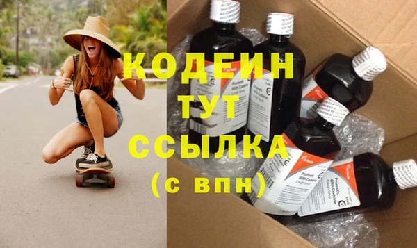ГАЛЛЮЦИНОГЕННЫЕ ГРИБЫ Ельня