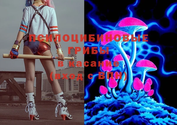 Альфа ПВП Елизово