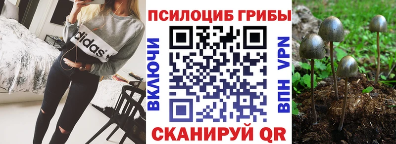 Псилоцибиновые грибы Magic Shrooms  мега как войти  Монино 